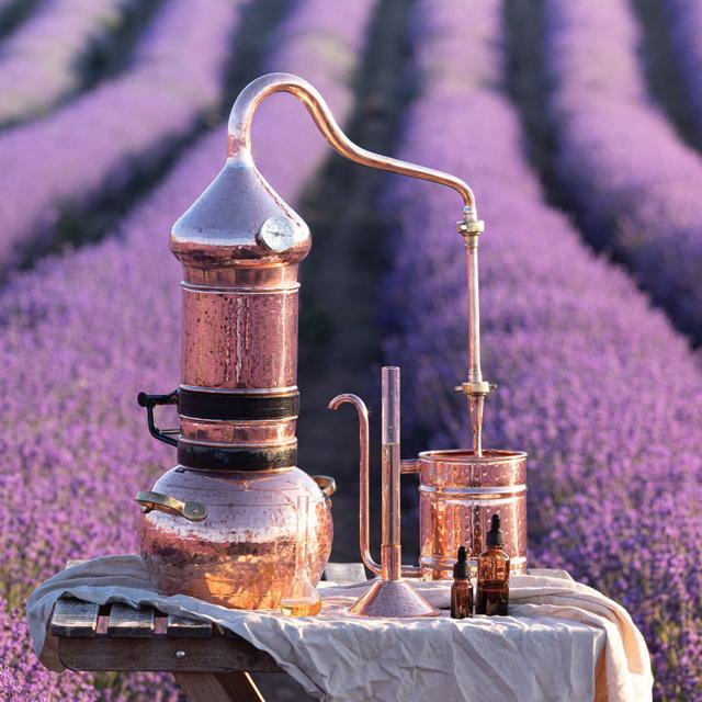 Image for Эфирные масла и их польза для здоровья