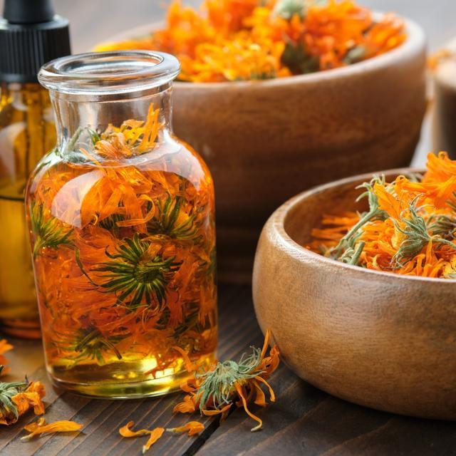 Image for Использование трав и растений