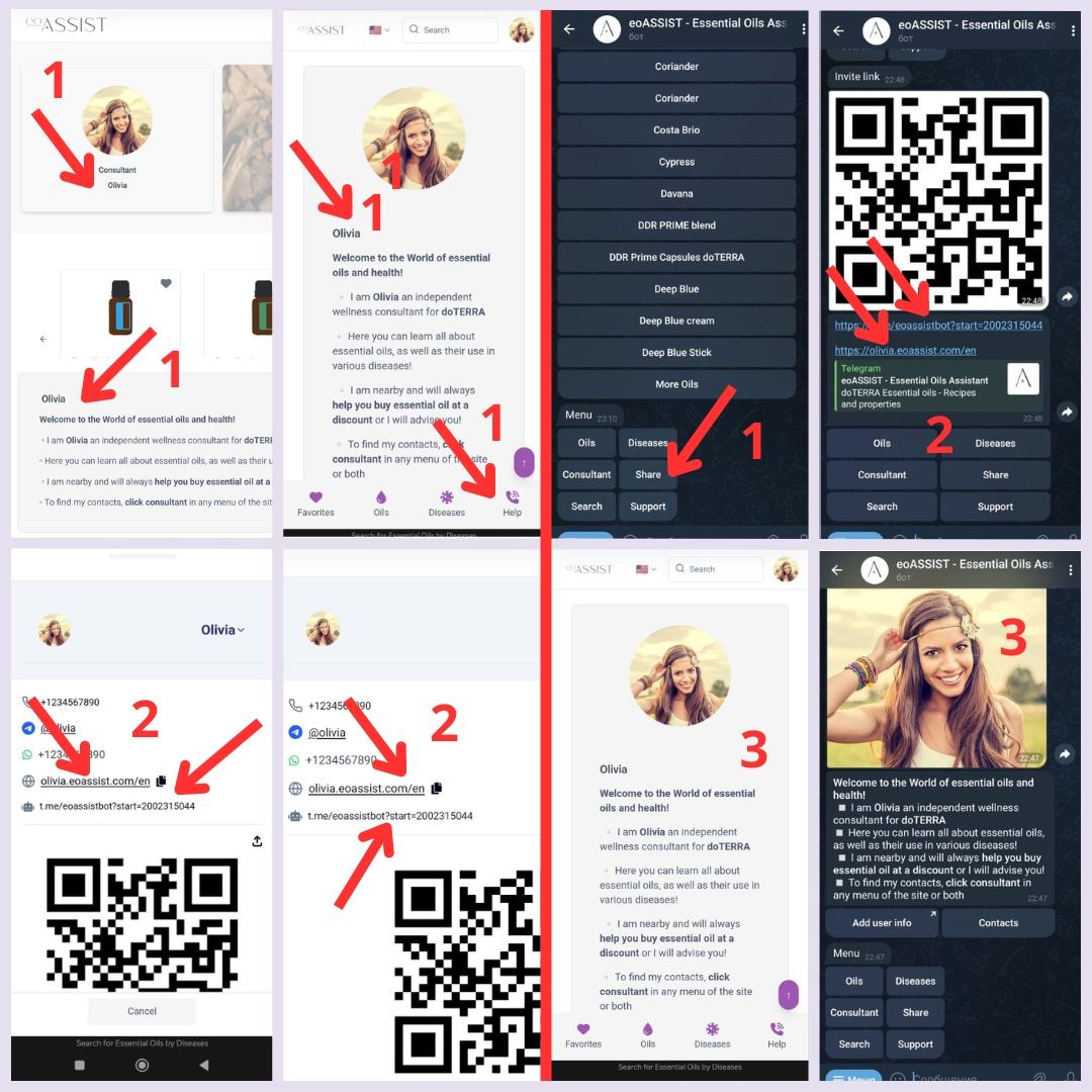 Wie und wo kann ich meine Website und meinen Bot weitergeben?